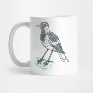 Magpie-lark Mug